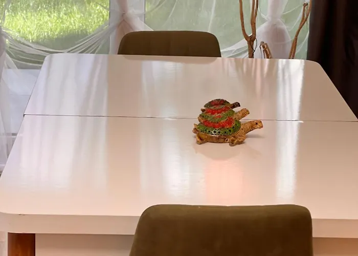 公寓 Muesluem Offenbach