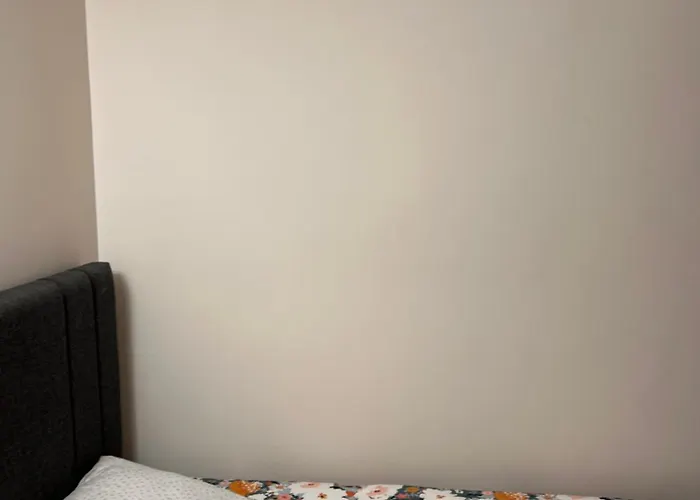 Muesluem Offenbach Darmstadt